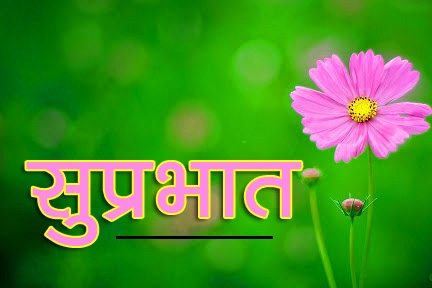 Flower Suprabhat Images 20