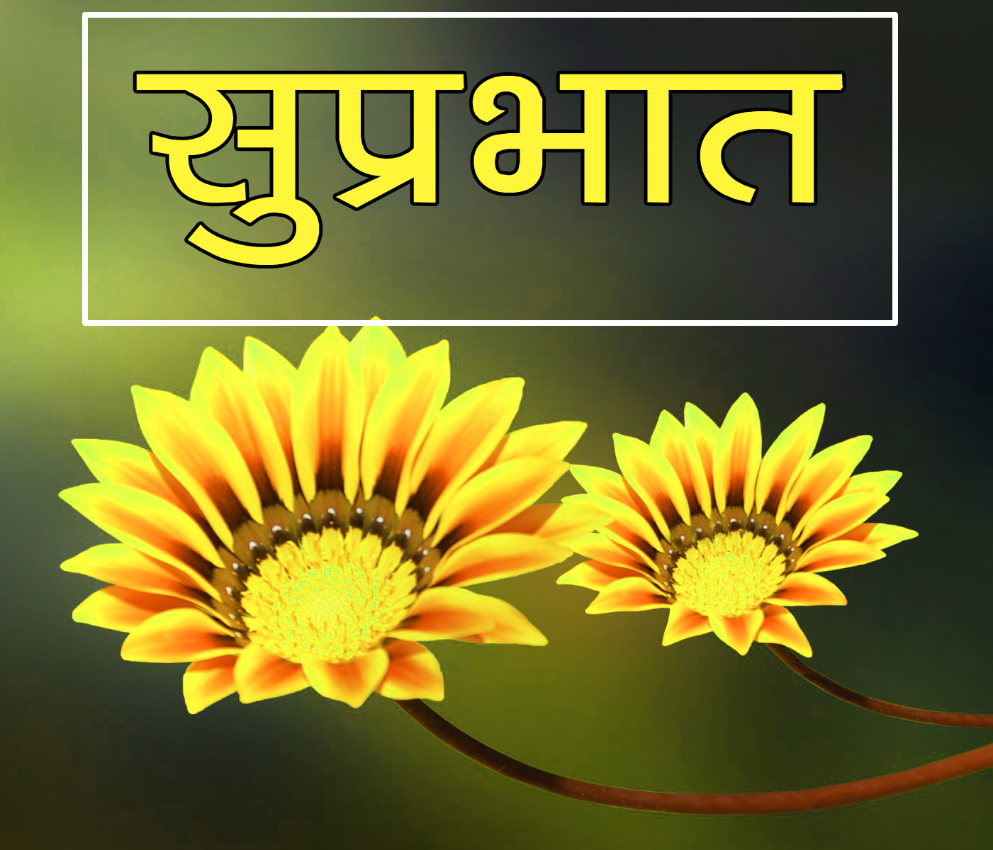 Flower Suprabhat Images 22
