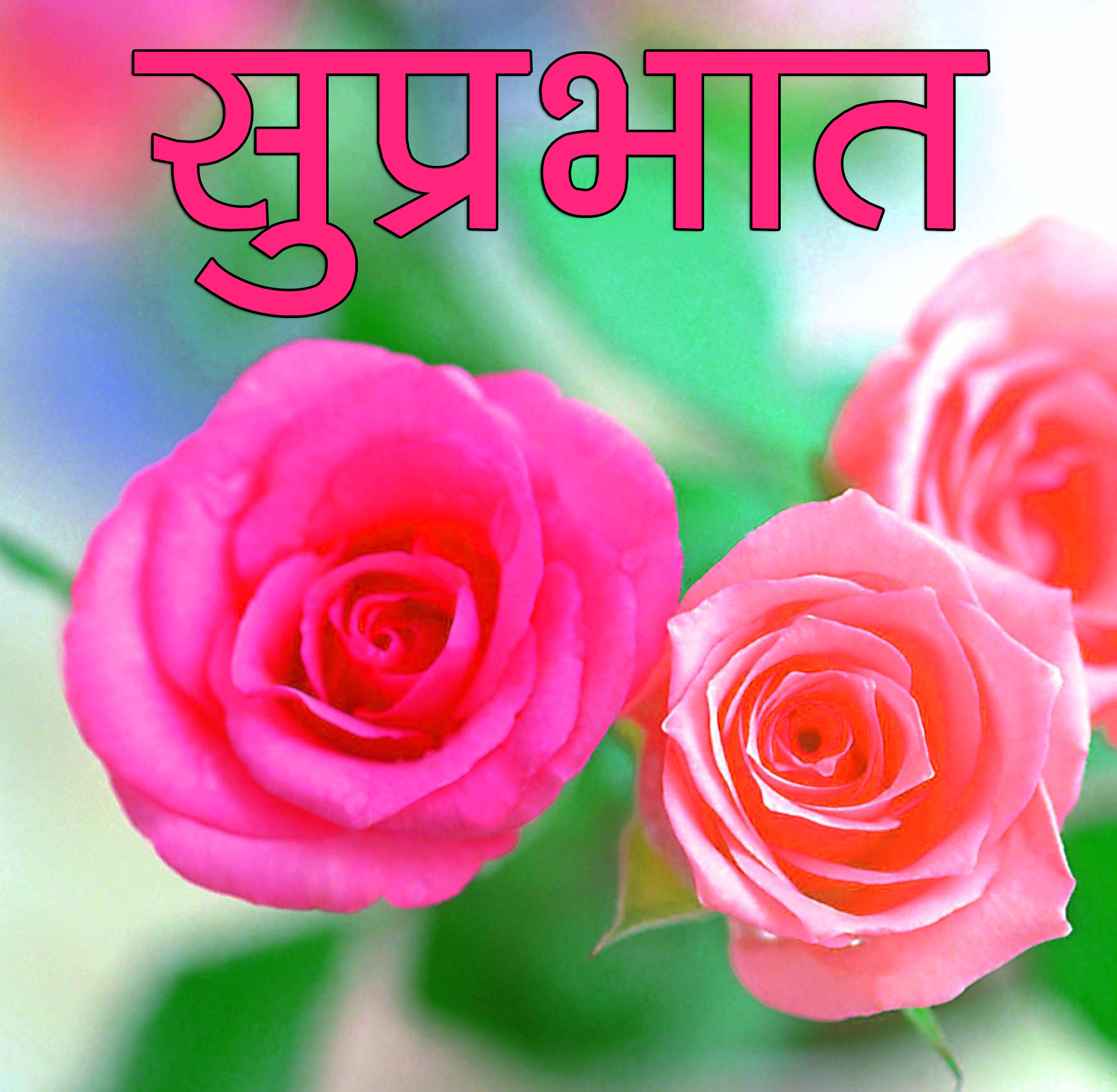Flower Suprabhat Images 4