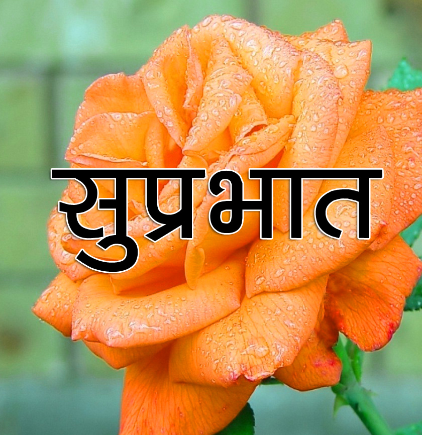 Flower Suprabhat Images 6
