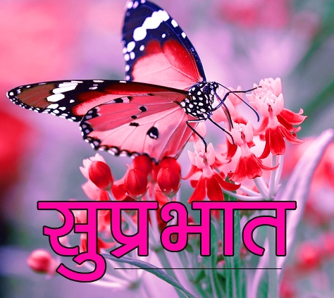 Flower Suprabhat Images 9