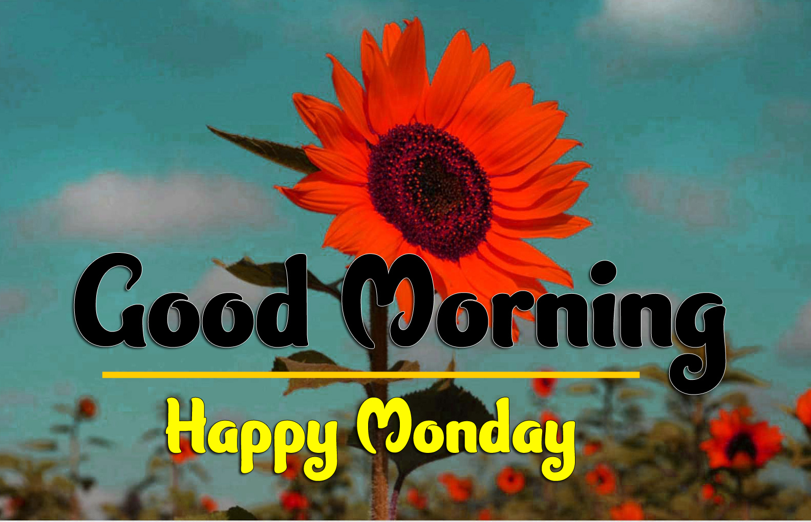 Good Morning Monday Images 1
