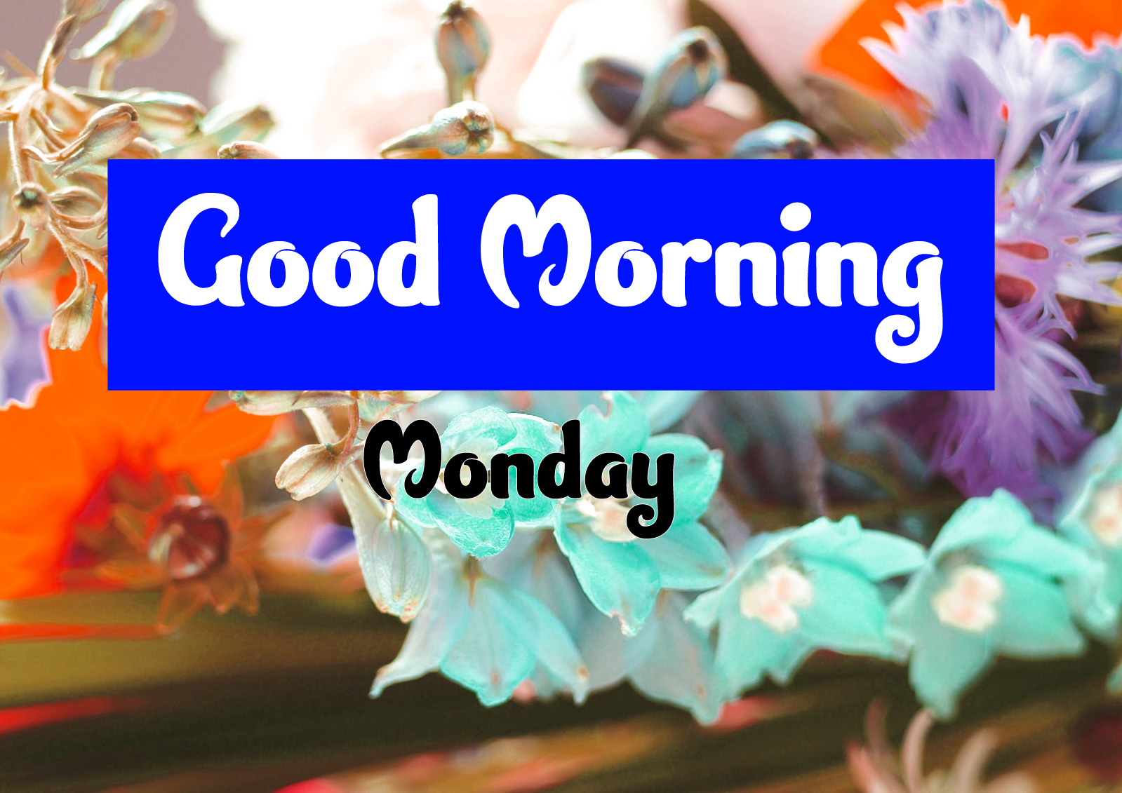 Good Morning Monday Images 2