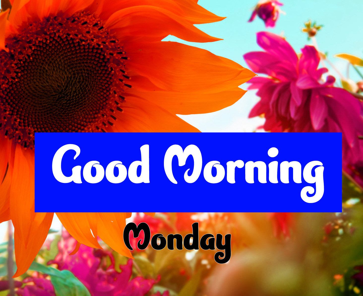 Good Morning Monday Images 3