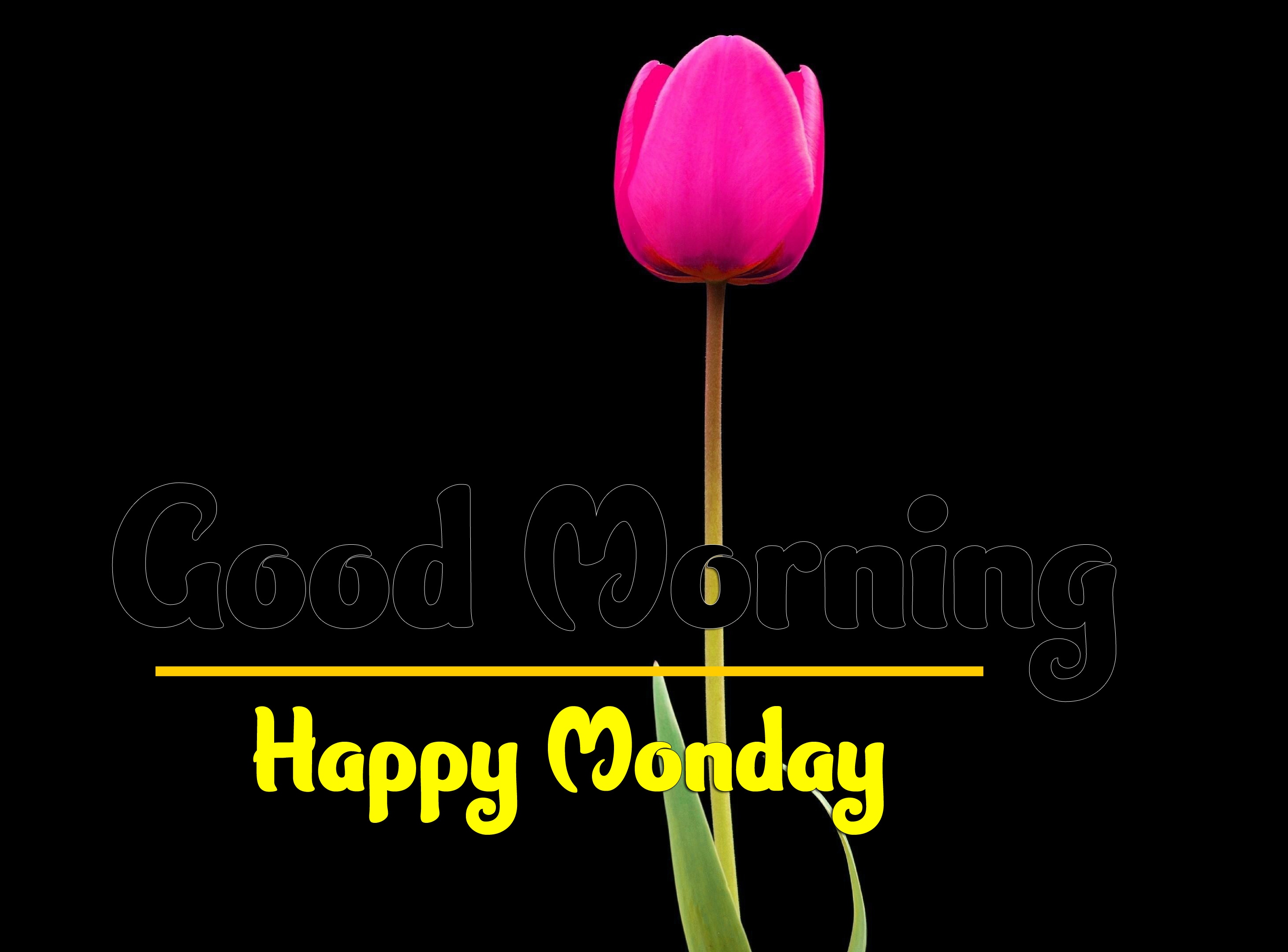 Good Morning Monday Images 4
