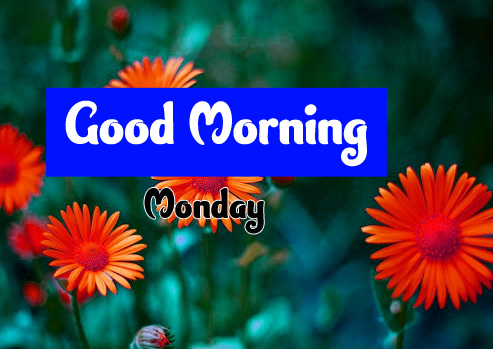 Good Morning Monday Images 5