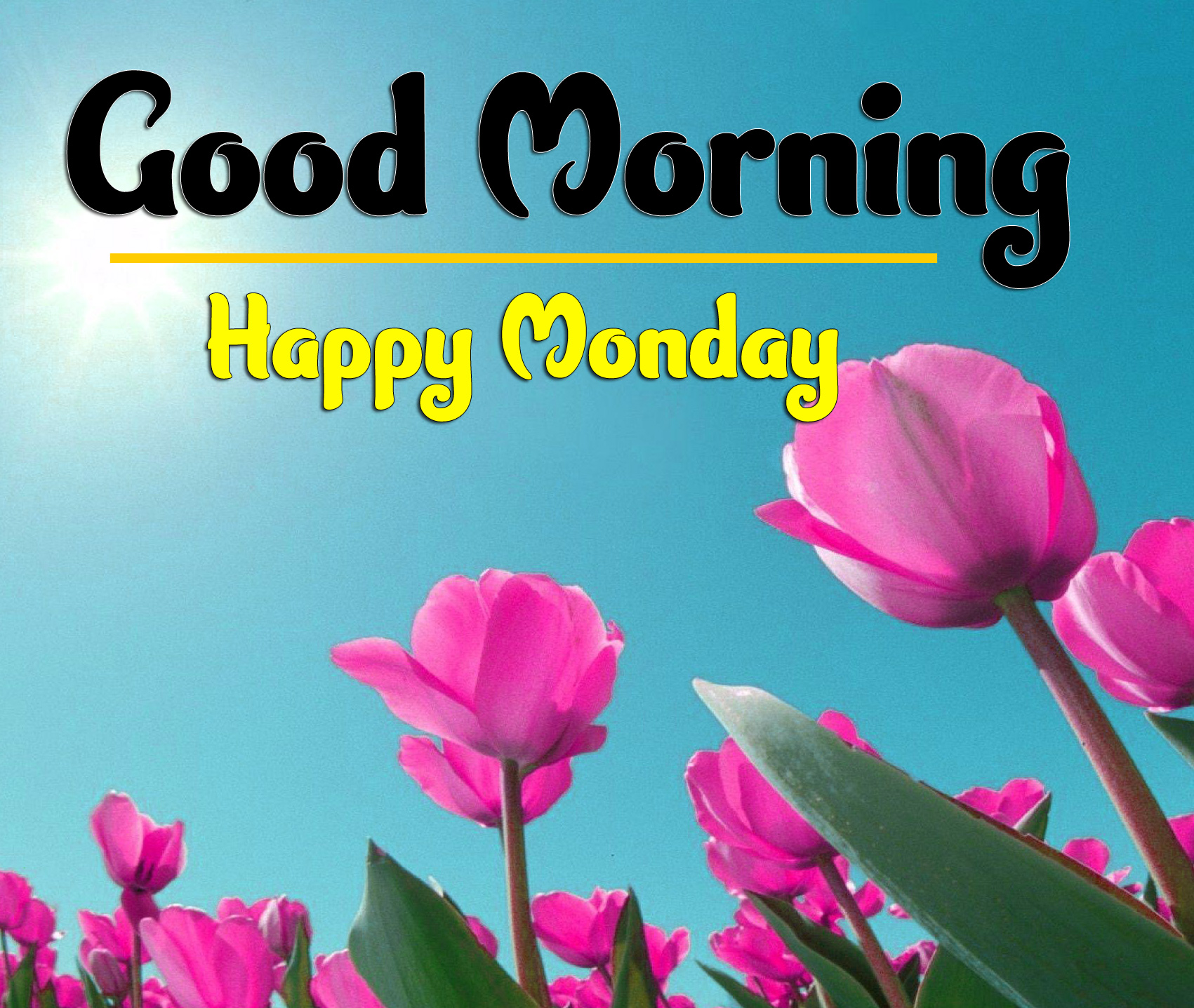Good Morning Monday Images 6