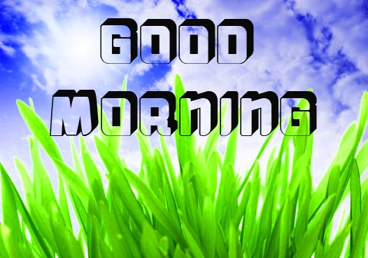 Free New Good Morning Images Pics Download 