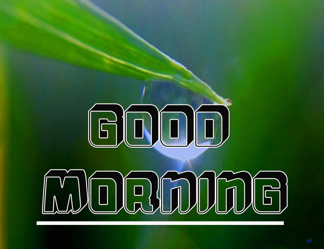 Best Full HD Good Morning Images Pics Download 
