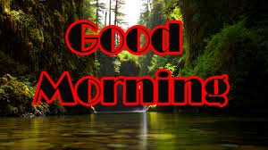 New Free Good Morning Images Pic Download 