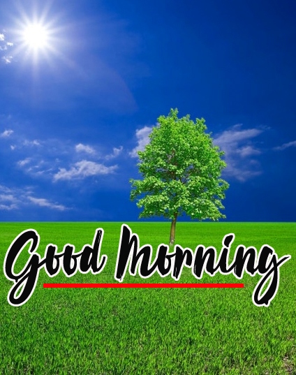 Good Morning Images Pics Wallpaper Latest Download 