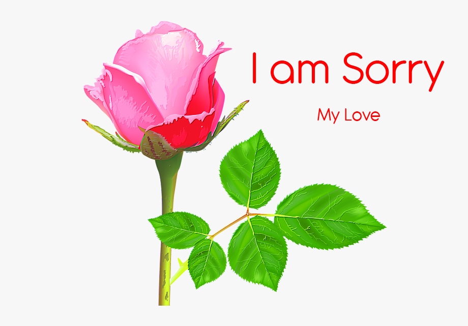 I am Sorry Images Pics Download for Facebook