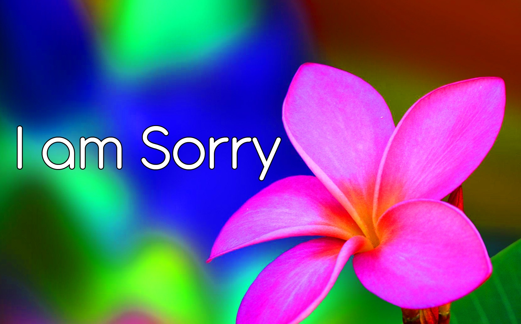 I am Sorry Images Pics Free Download 