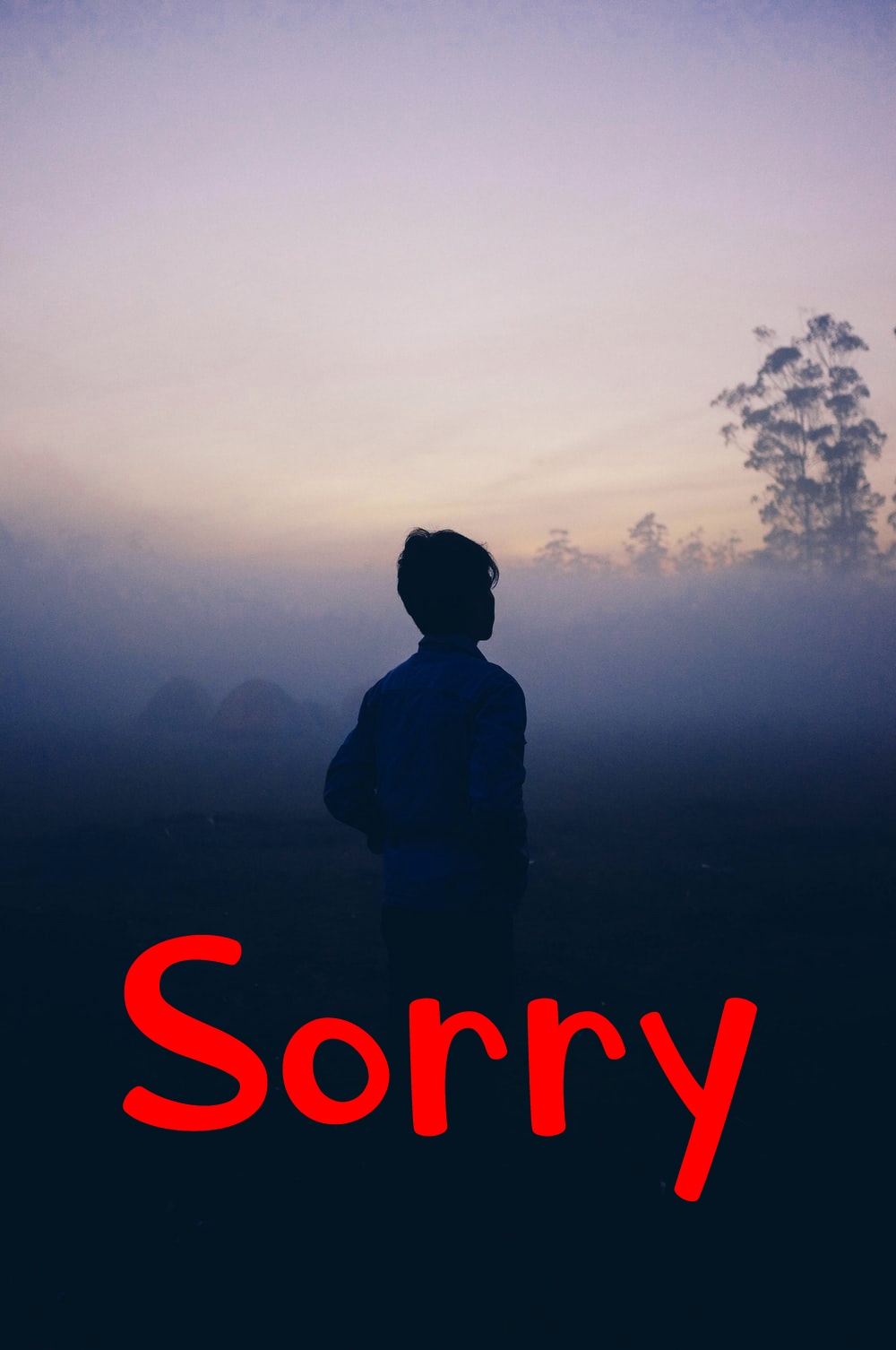 I am Sorry Images photo pics Free Download 