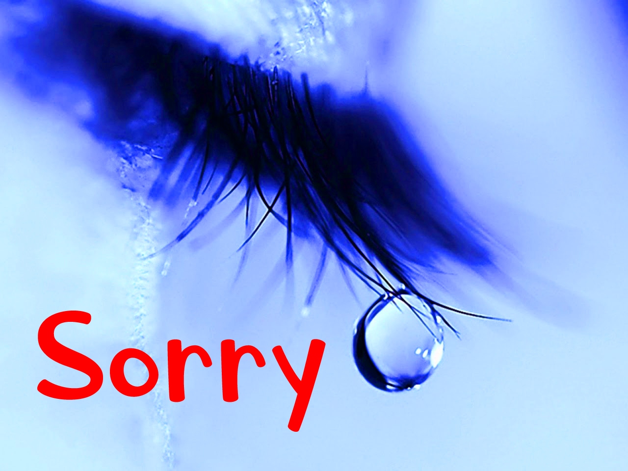 I am Sorry Images Pics free Download 