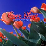 Best Night Images HD Download 73