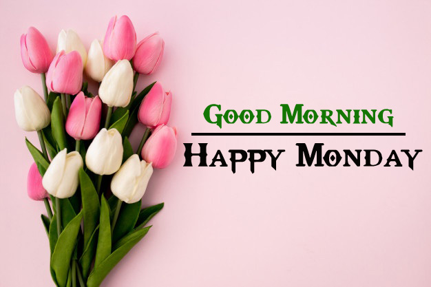Best Quality Monday Good Morning Pics Images Download 1