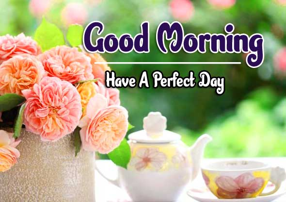 Best Good Morning Images Pics Download With Flower