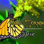 Best Good Morning Images Pictures Free Download