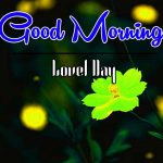 Flower Best Good Morning Images Pics Download