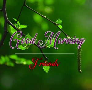 Best Good Morning Images Wallpaper Latest Download