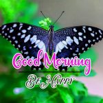 Butterfly Best Good Morning Images Pics Download