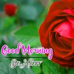 Beautiful HD Red Rose Best Good Morning Images Pics Download