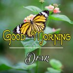 Best Good Morning Images Wallpaper Latest Download