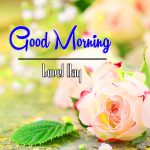 Best Good Morning Images Photo for Facebook