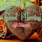Best Good Morning Images Photo Free Download