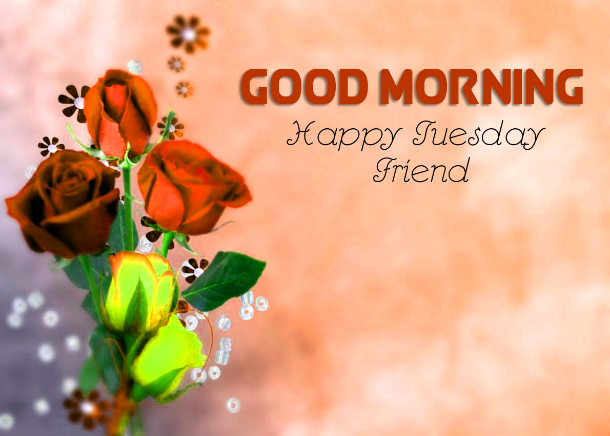 73+ Good Morning Tuesday Images Pictures For Whatsapp Download