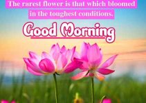 1989+ Best Happy Flowers Good Morning Wishes Images Download