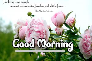 1825+ Good Morning Images Free Download For Whatsapp HD Download
