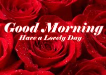 Best 199+ Good Morning Images Download In 2021