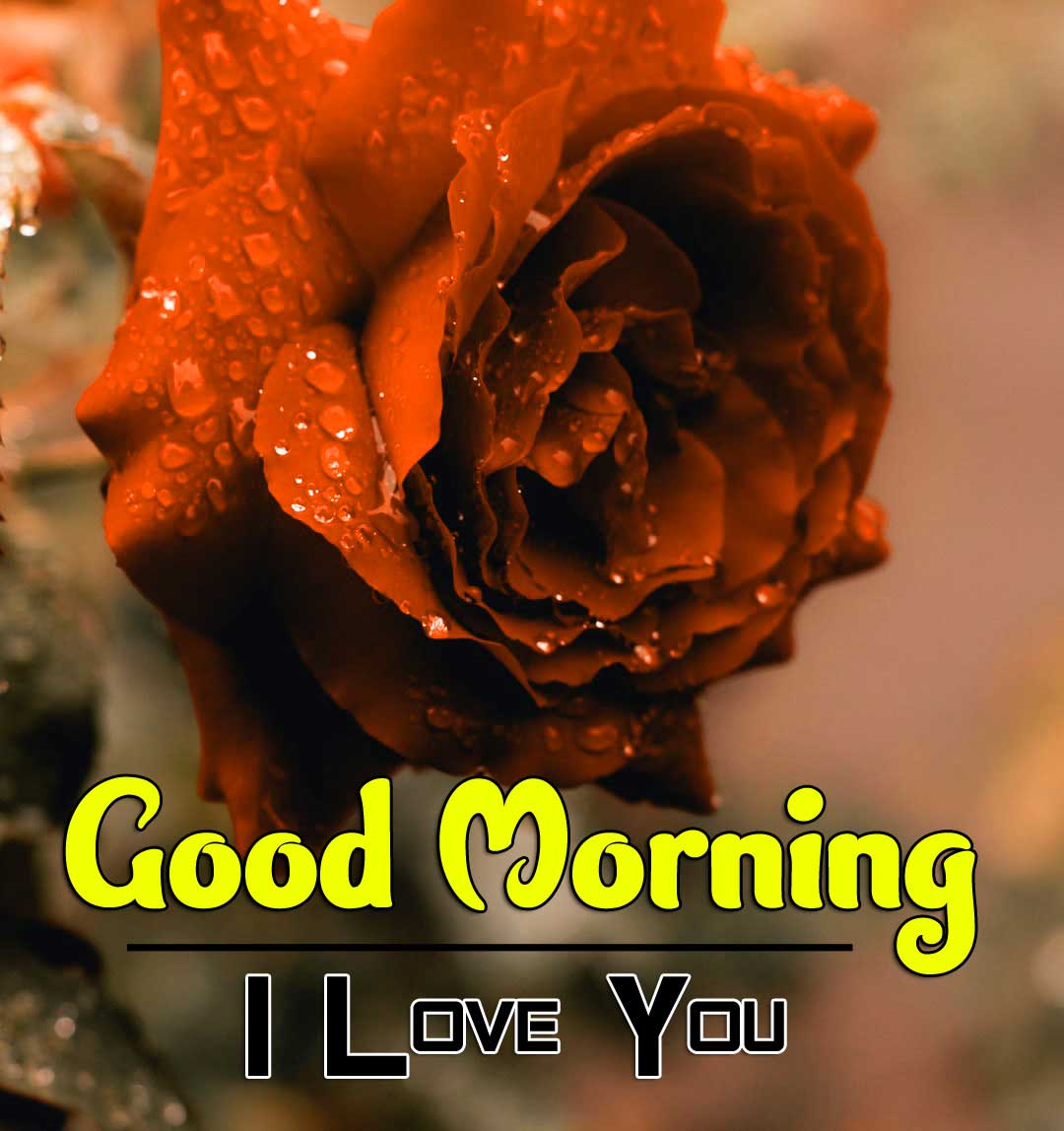 The Ultimate Collection of Full 4K Good Morning I Love You Images ...