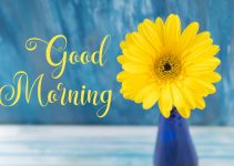 Beautiful Happy Good Morning Images Download