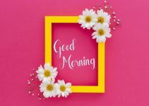1265+ Royal Good Morning Images Download for Mobile Phone User