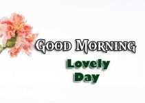 HD Good Morning Images Royalty Free Images