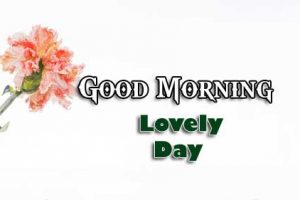 HD Good Morning Images Royalty Free Images