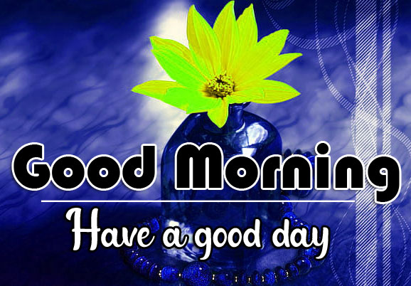 296+ Great Good Morning Whatsapp DP Profile Images HD Download