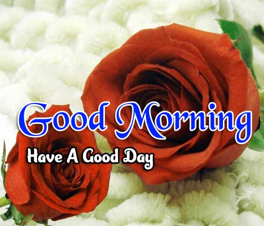 Latest Good Morning Wallpaper Images 3