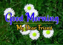 99 + New Day Good Morning Images Download