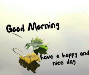 Free Happy Morning Images Wallpaper for Status