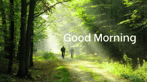 Nature Good Morning Wallpaper for Status