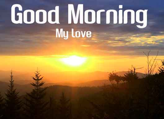 Beautiful Good Morning Images Pics hd Download