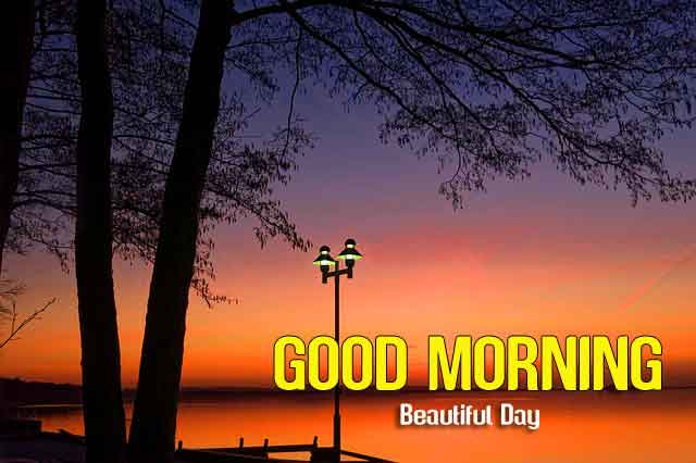 1356+ Good Morning Wishes Wallpaper 2021 Special Download