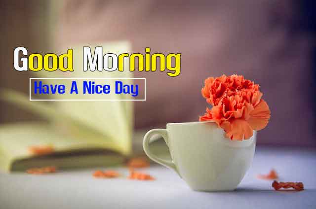 Good Morning Friends Images Download