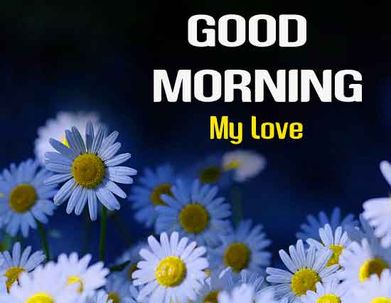 96+ Good Morning Wishes Image With Heart Pictures Download