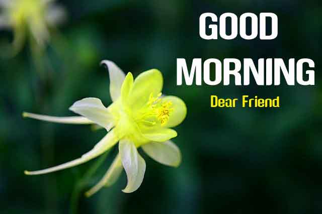 Morning Photos - 241+ Latest Morning Images Pictures Wallpaper Pics