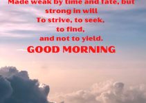 265+ Good Morning Images Photo With English Quotes Download